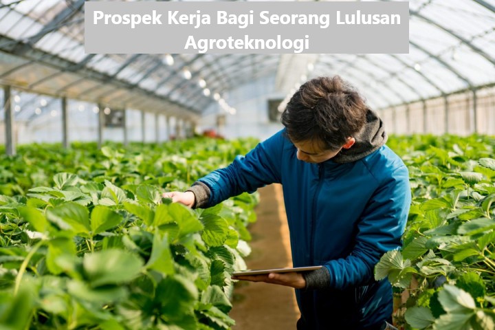 Prospek Kerja Bagi Seorang Lulusan Agroteknologi