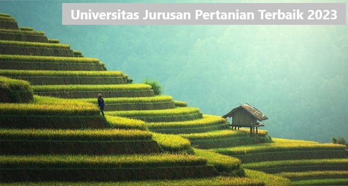 Universitas Jurusan Pertanian Terbaik 2023